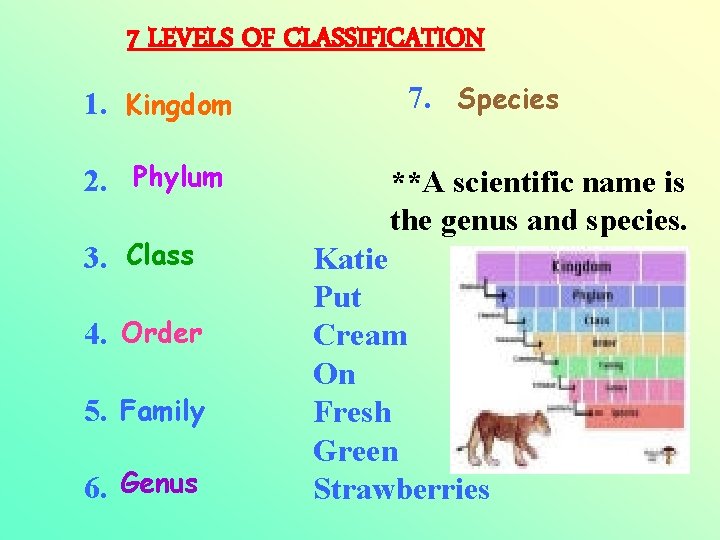 7 LEVELS OF CLASSIFICATION 1. Kingdom 2. Phylum 3. Class 4. Order 5. Family