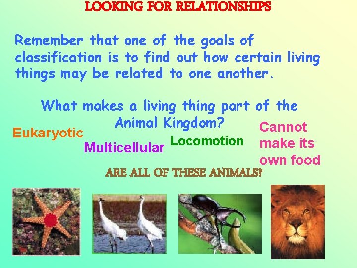 LOOKING FOR RELATIONSHIPS Remember that one of the goals of classification is to find