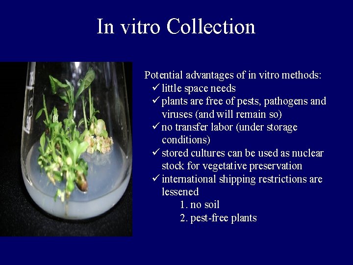 In vitro Collection Potential advantages of in vitro methods: ü little space needs ü In vitro Collection Potential advantages of in vitro methods: ü little space needs ü