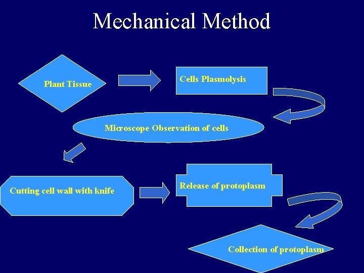 Mechanical Method Cells Plasmolysis Plant Tissue Microscope Observation of cells Cutting cell wall with Mechanical Method Cells Plasmolysis Plant Tissue Microscope Observation of cells Cutting cell wall with