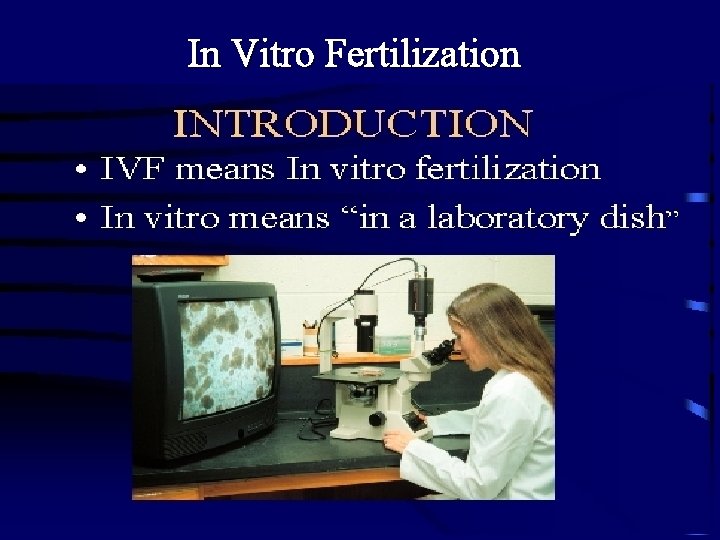 In Vitro Fertilization In Vitro Fertilization