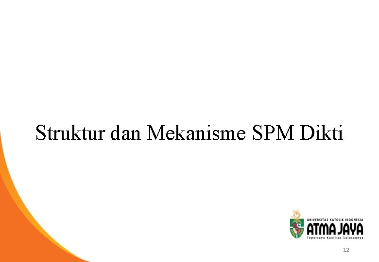 Struktur dan Mekanisme SPM Dikti 12 