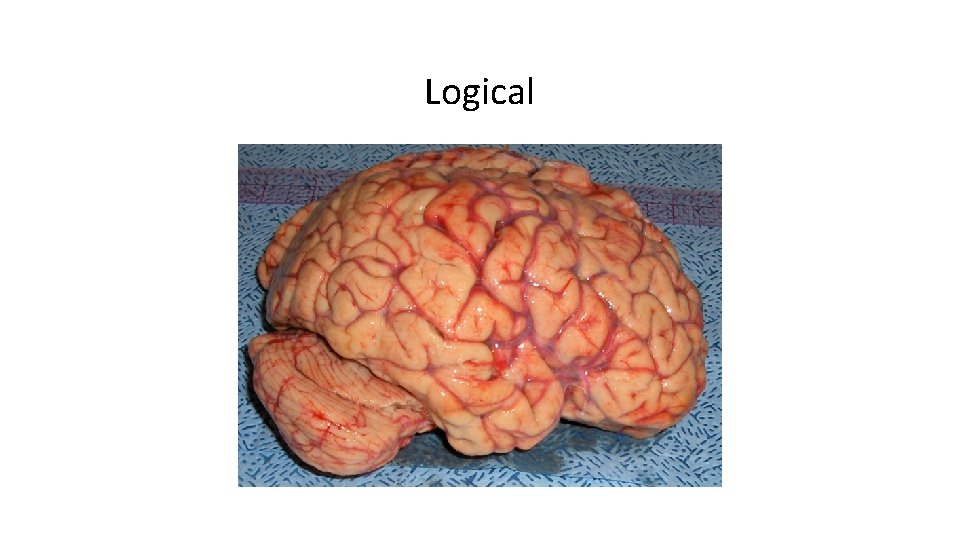 Logical 
