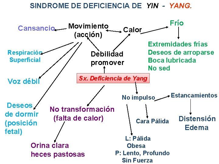 SINDROME DE DEFICIENCIA DE YIN - YANG. Cansancio Movimiento (acción) Respiración Superficial Voz débil