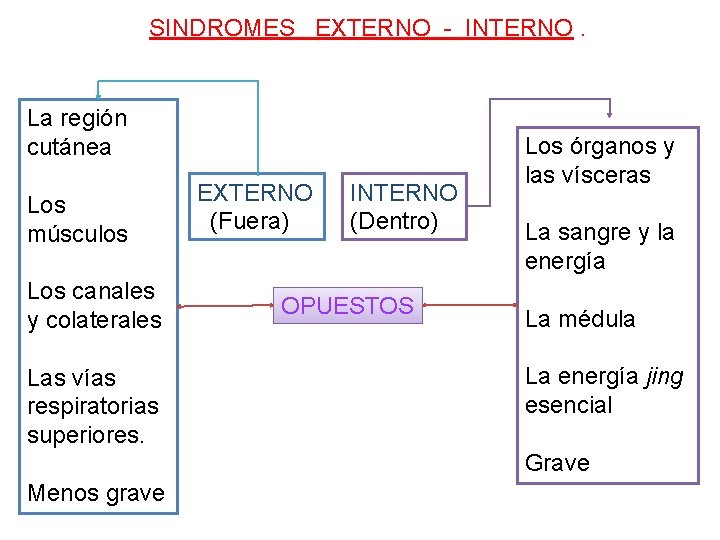 SINDROMES EXTERNO - INTERNO. La región cutánea Los músculos Los canales y colaterales Las