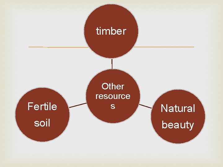 timber Fertile soil Other resource s Natural beauty 