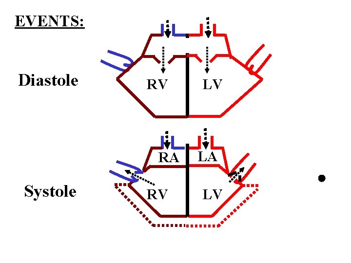 EVENTS: RA Diastole RV RA Systole RV LA LV 