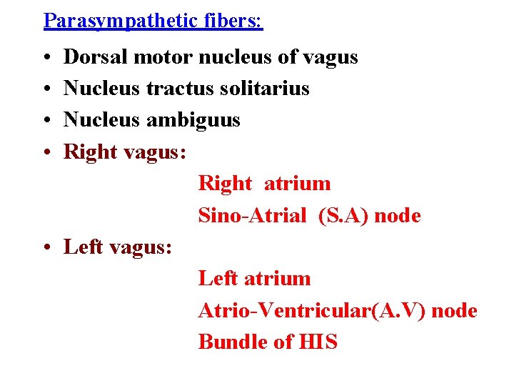 Parasympathetic fibers: • • Dorsal motor nucleus of vagus Nucleus tractus solitarius Nucleus ambiguus