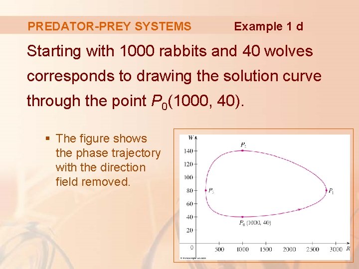 PREDATOR-PREY SYSTEMS Example 1 d Starting with 1000 rabbits and 40 wolves corresponds to