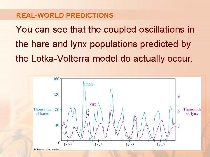 REAL-WORLD PREDICTIONS You can see that the coupled oscillations in the hare and lynx