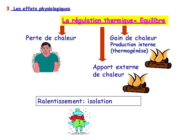 3. Les effets physiologiques La régulation thermique= Equilibre Perte de chaleur Gain de chaleur