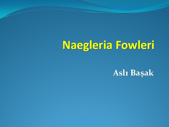 Naegleria Fowleri Aslı Başak 