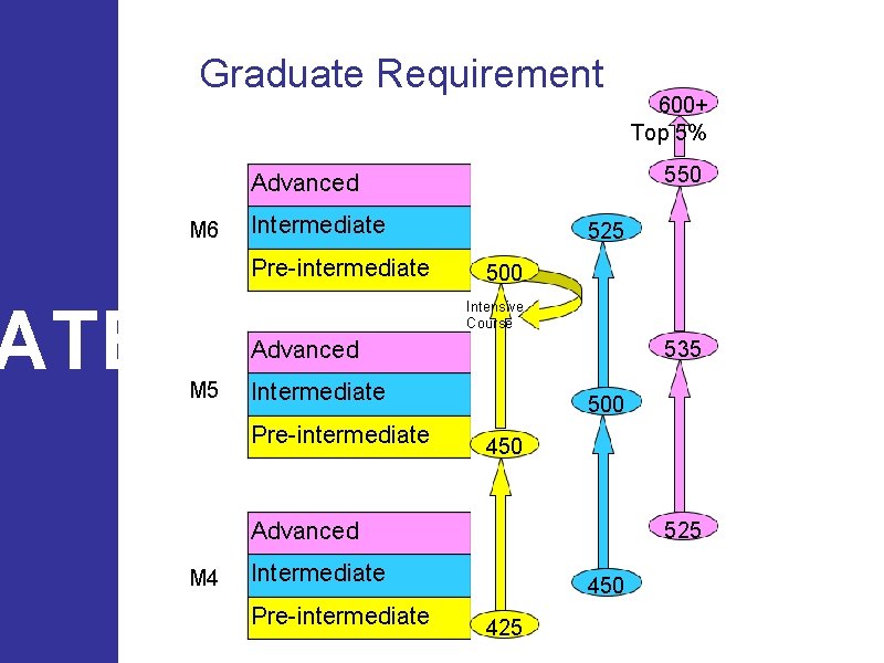 Graduate Requirement 550 Advanced M 6 Intermediate Pre-intermediate ATEGY 525 500 Intensive Course Advanced