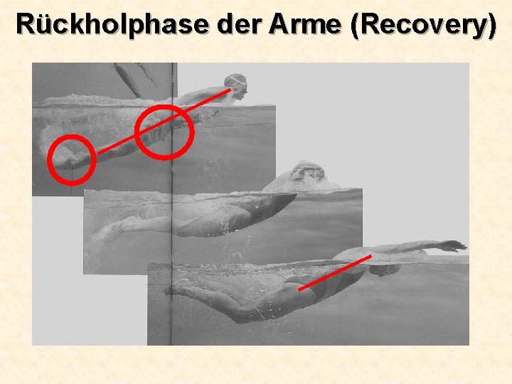 Rückholphase der Arme (Recovery) 