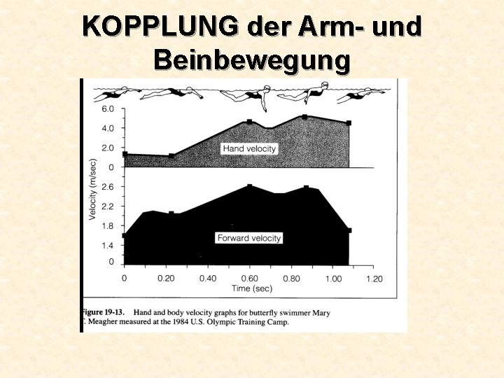  KOPPLUNG der Arm- und Beinbewegung 