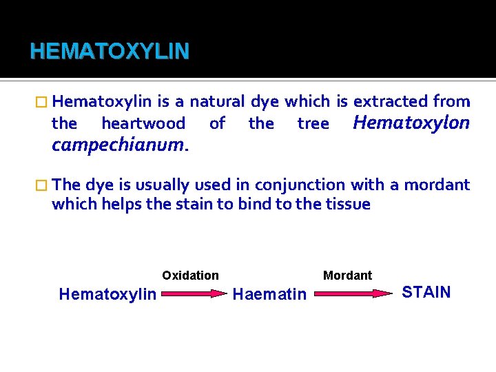 HEMATOXYLIN � Hematoxylin is a natural dye which is extracted from the heartwood of