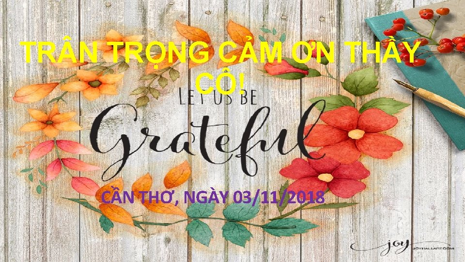 TR N TRỌNG CẢM ƠN THẦY CÔ! CẦN THƠ, NGÀY 03/11/2018 
