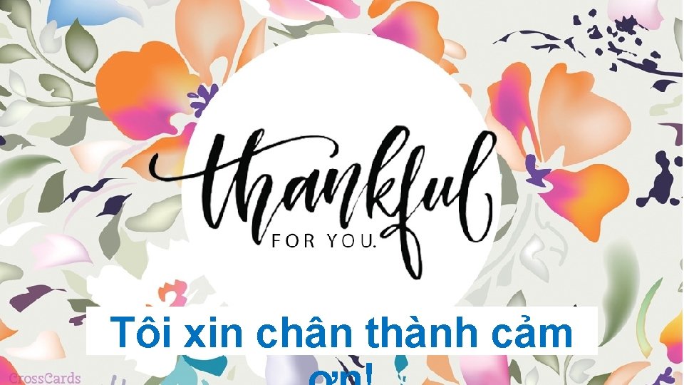 Tôi xin chân thành cảm 