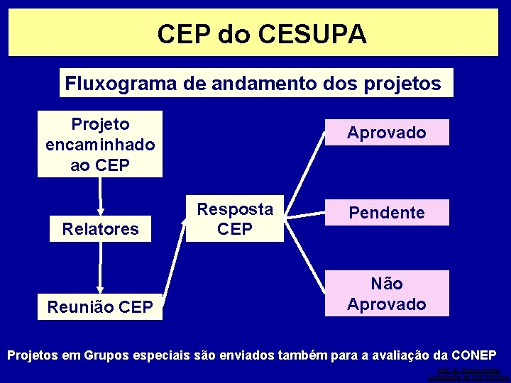  CEP do CESUPA Fluxograma de andamento dos projetos Projeto encaminhado ao CEP Relatores