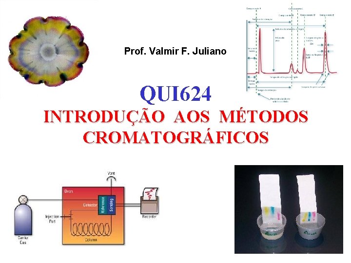 Prof. Valmir F. Juliano QUI 624 INTRODUÇÃO AOS MÉTODOS CROMATOGRÁFICOS 