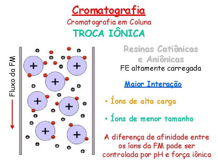 Cromatografia em Coluna Fluxo da FM TROCA IÔNICA Resinas Catiônicas e Aniônicas FE altamente