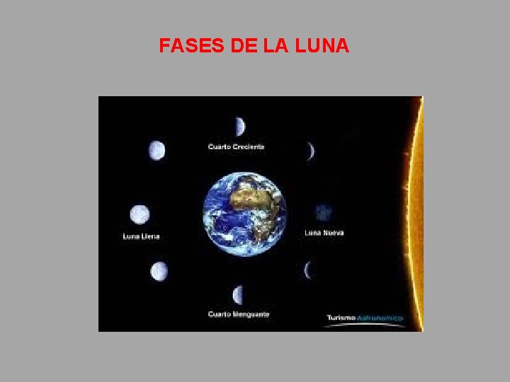 FASES DE LA LUNA 