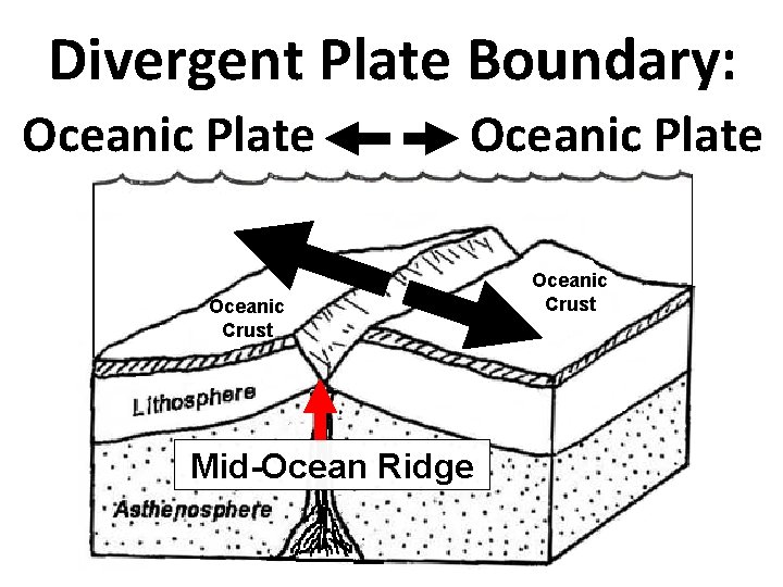 Divergent Plate Boundary: Oceanic Plate Oceanic Crust Mid-Ocean Ridge Oceanic Crust 