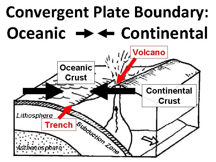 Convergent Plate Boundary: Oceanic Continental Volcano Oceanic Crust Continental Crust Trench 