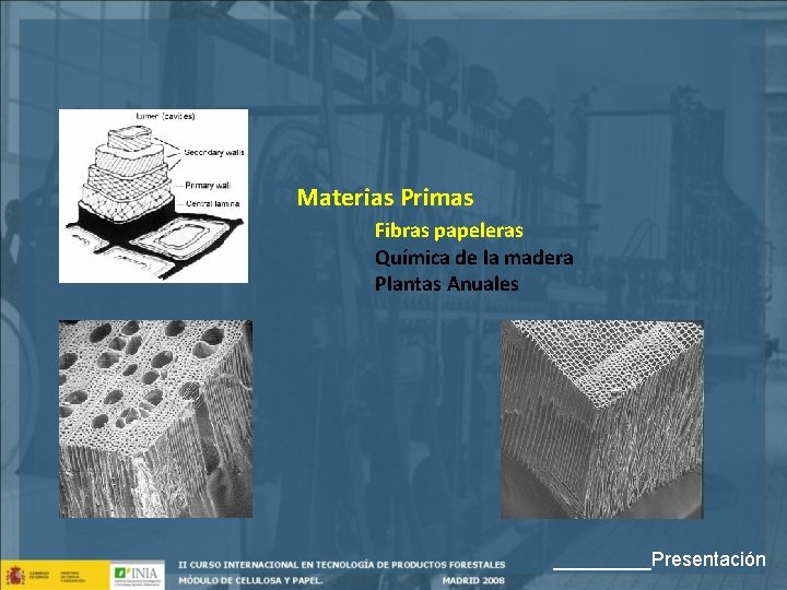 Materias Primas Fibras papeleras Química de la madera Plantas Anuales _____Presentación 