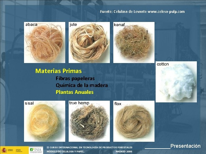 Fuente: Celulosa de Levante www. celesa-pulp. com Materias Primas Fibras papeleras Química de la