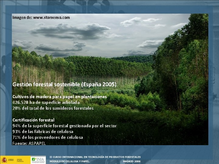 Imagen de: www. storaenso. com Gestión forestal sostenible (España 2005) Cultivos de madera papel