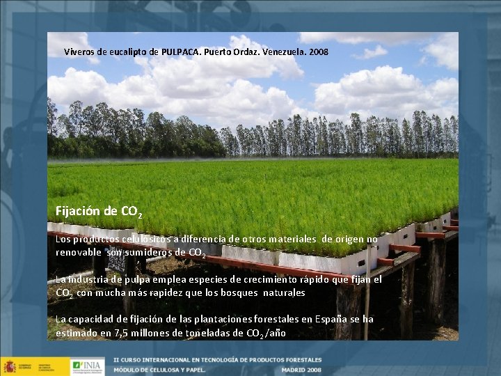 Viveros de eucalipto de PULPACA. Puerto Ordaz. Venezuela. 2008 Fijación de CO 2 Los