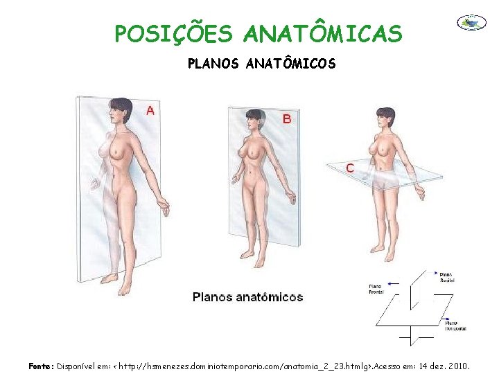 POSIÇÕES ANATÔMICAS PLANOS ANATÔMICOS Fonte: Disponível em: < http: //hsmenezes. dominiotemporario. com/anatomia_2_23. htmlg>. Acesso