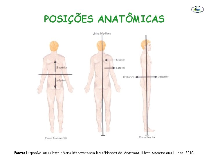 POSIÇÕES ANATÔMICAS Fonte: Disponível em: < http: //www. lifesavers. com. br/r/Nocoes-de-Anatomia-11. html>. Acesso em: