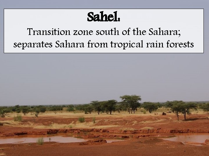 Sahel: Transition zone south of the Sahara; separates Sahara from tropical rain forests 