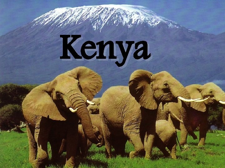 Kenya 