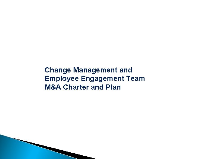 Change Management and Employee Engagement Team M&A Charter and Plan 