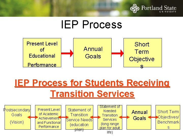 IEP Process Present Level of Educational Annual Goals Performance Short Term Objective s IEP IEP Process Present Level of Educational Annual Goals Performance Short Term Objective s IEP