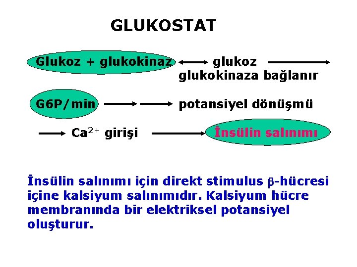 GLUKOSTAT Glukoz + glukokinaz glukoz glukokinaza bağlanır G 6 P/min Ca 2+ girişi potansiyel