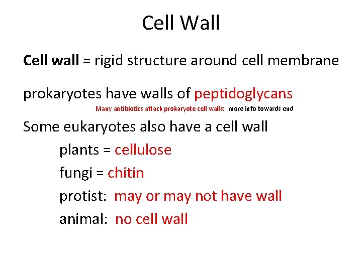 Cell Wall Cell wall = rigid structure around cell membrane prokaryotes have walls of