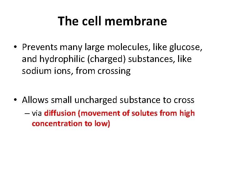 The cell membrane • Prevents many large molecules, like glucose, and hydrophilic (charged) substances,