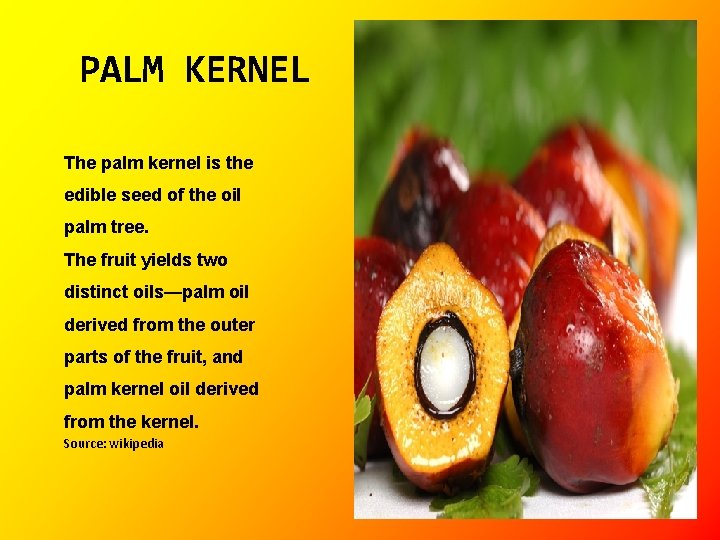 PALM KERNEL The palm kernel is the edible seed of the oil palm tree.