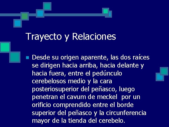 Trayecto y Relaciones n Desde su origen aparente, las dos raíces se dirigen hacia