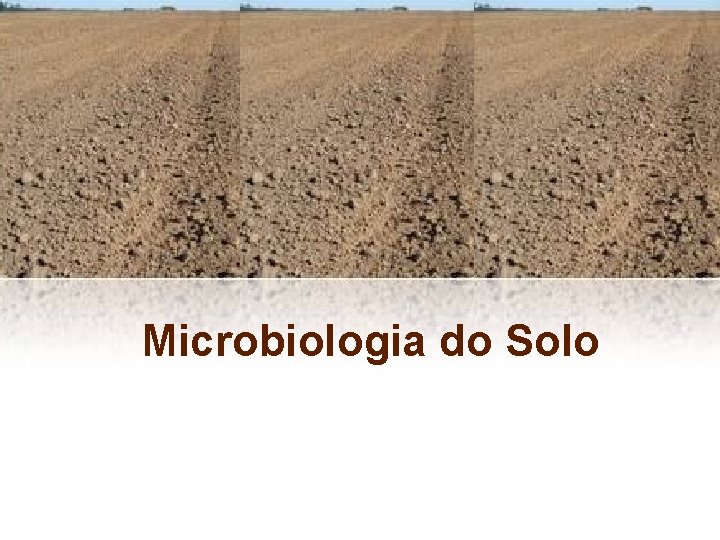 Microbiologia do Solo 