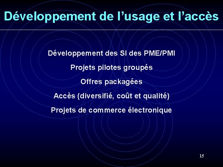 Développement de l’usage et l’accès Développement des SI des PME/PMI Projets pilotes groupés Offres Développement de l’usage et l’accès Développement des SI des PME/PMI Projets pilotes groupés Offres