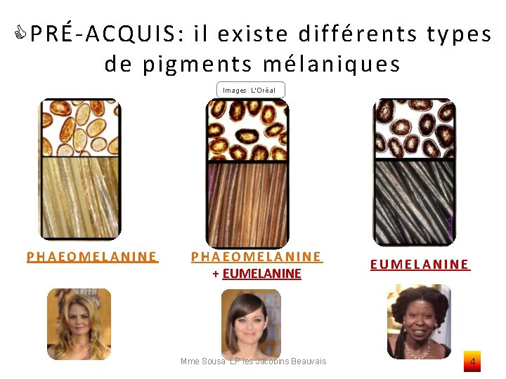  PRÉ-ACQUIS: il existe différents types de pigments mélaniques Images L'Oréal PHAEOMELANINE + EUMELANINE