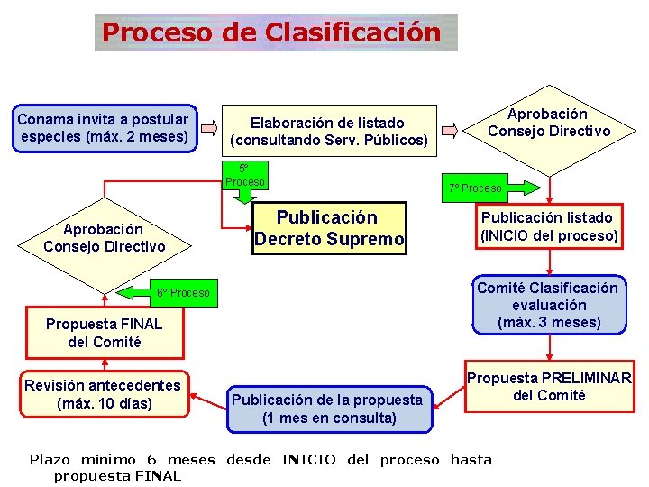 Proceso de Clasificación Conama invita a postular especies (máx. 2 meses) Elaboración de listado Proceso de Clasificación Conama invita a postular especies (máx. 2 meses) Elaboración de listado
