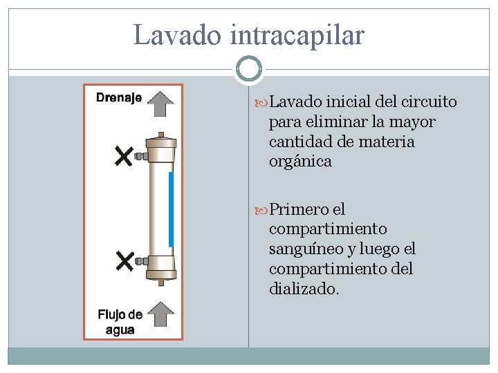 Lavado intracapilar Lavado inicial del circuito para eliminar la mayor cantidad de materia orgánica