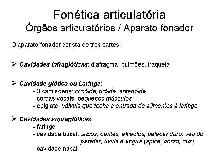 Fonética articulatória Órgãos articulatórios / Aparato fonador O aparato fonador consta de três partes: Fonética articulatória Órgãos articulatórios / Aparato fonador O aparato fonador consta de três partes: