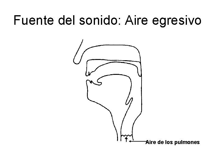 Fuente del sonido: Aire egresivo Aire de los pulmones Fuente del sonido: Aire egresivo Aire de los pulmones